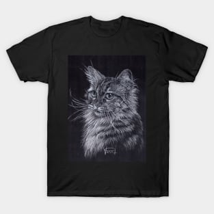 Main Coon Cat T-Shirt